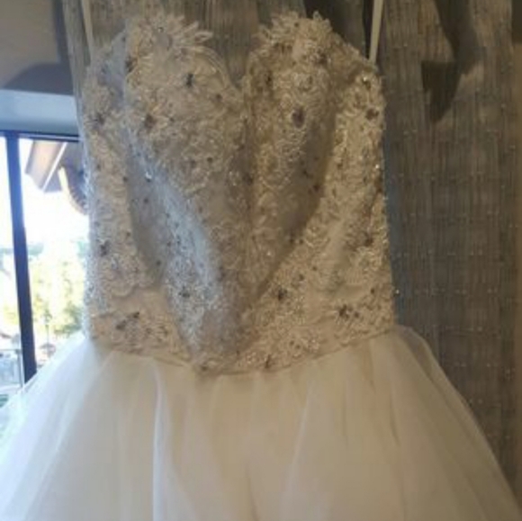 Elegant Wedding Dress - Picture 2 of 6